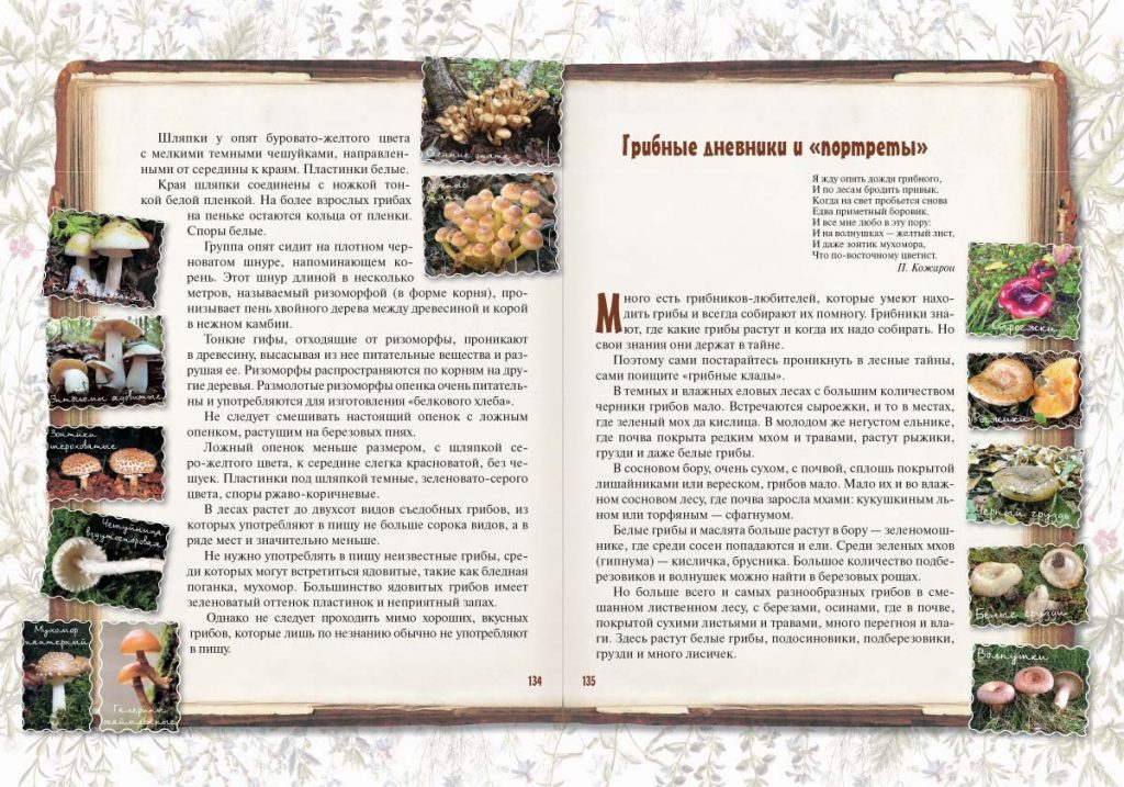 книга по следам робинзона