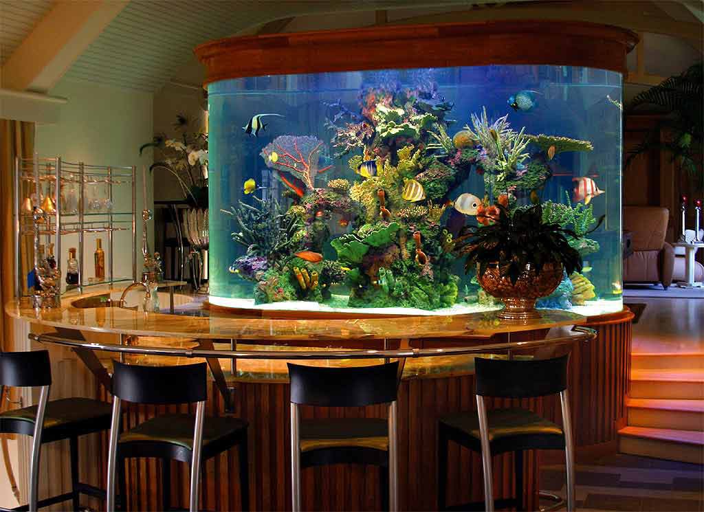 аквариум с рыбками
