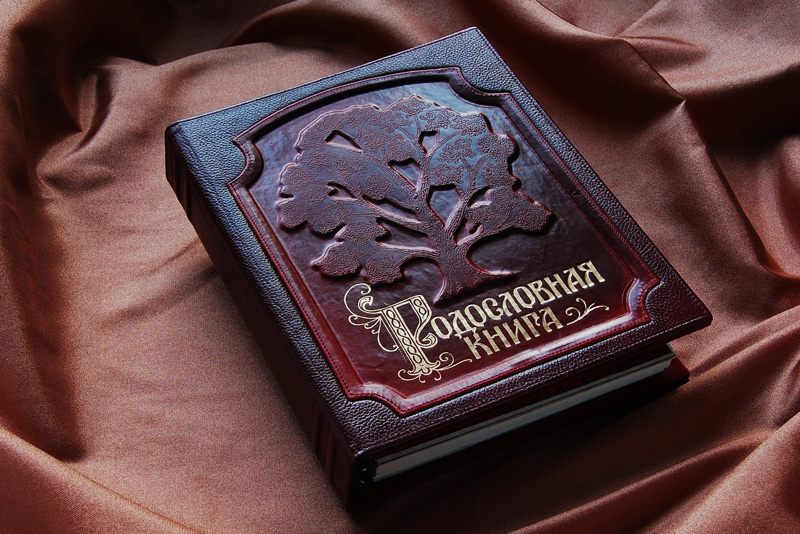 Родословная книга 